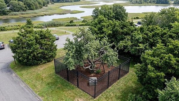 Danvers Before Salem, a Town with a Longer Memory Than You Think